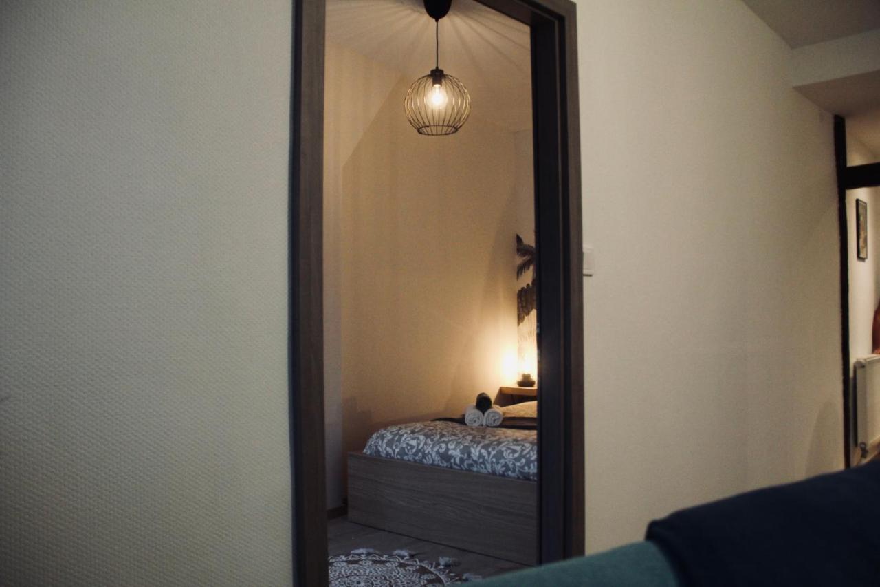 New Le Cocon Des Humanistes Appartement Sélestat
